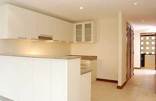 The kitchen view