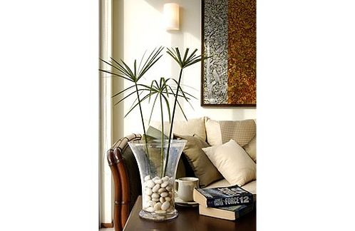 The living room