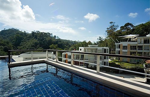 The view from the pool looking over the estate