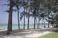 Bang Tao beach