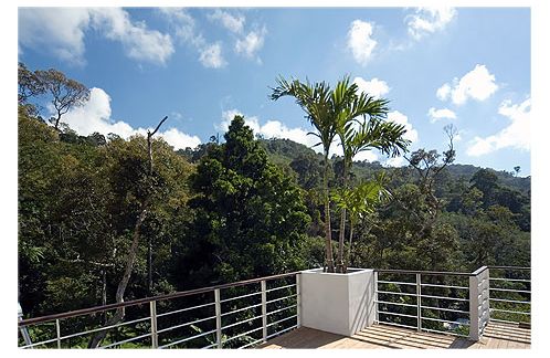 Looking into the jungle hills from the terrace