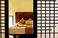 The Accenta Phuket show apartment