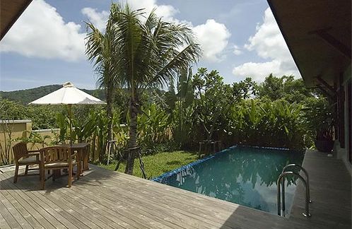 The pool and garden