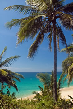 Blue Sky and Beaches