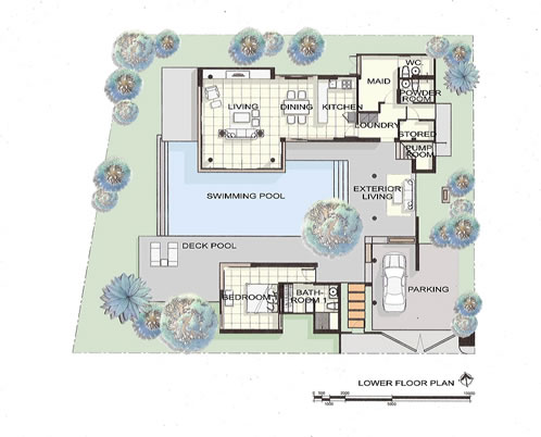 Lower Floor Plan